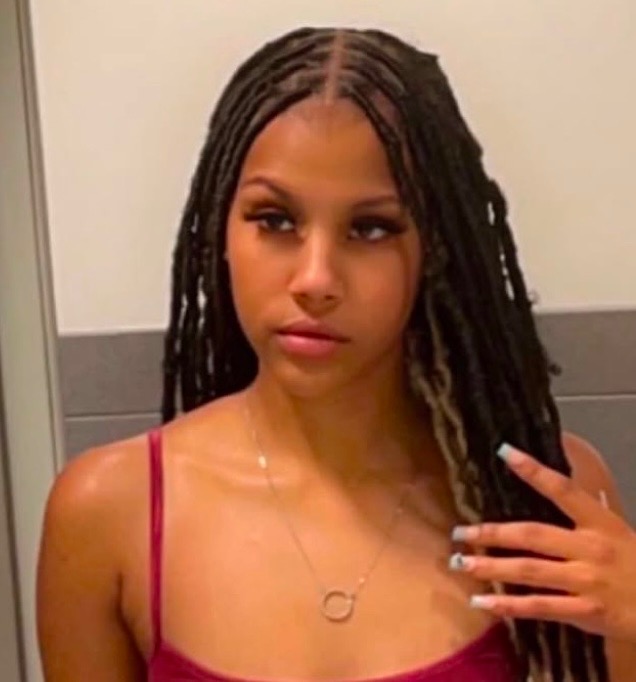 Small soft locs with a middle part